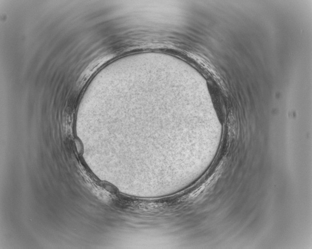 X0000086971273200705141642