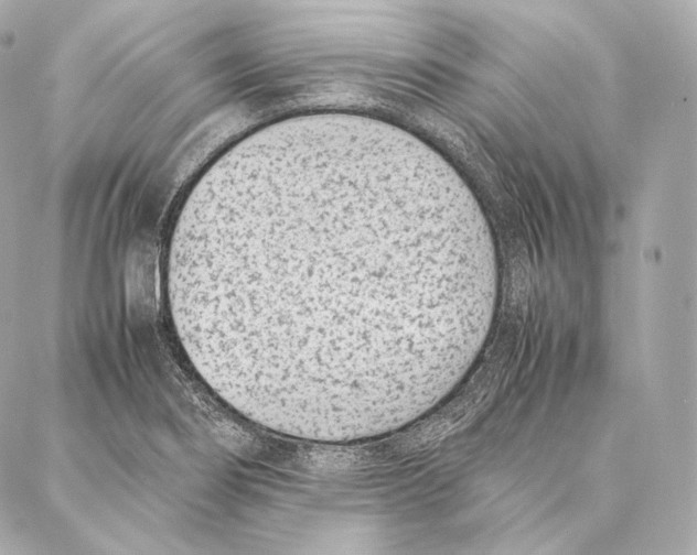 X0000086971274200705141642