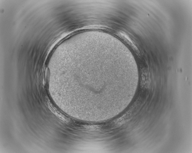 X0000086971276200705141642