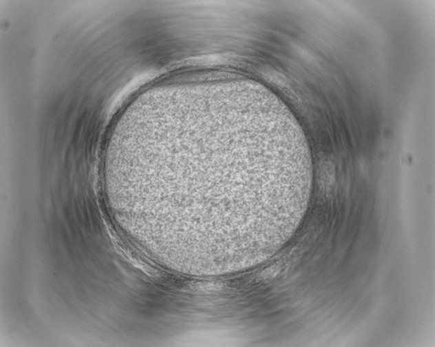 X0000086971278200705141642