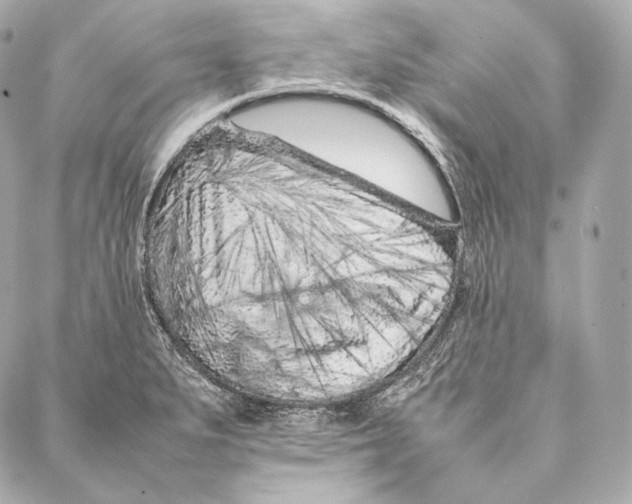 X0000086971279200705141642