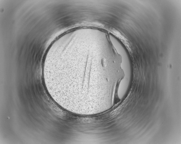 X0000086971280200705141642