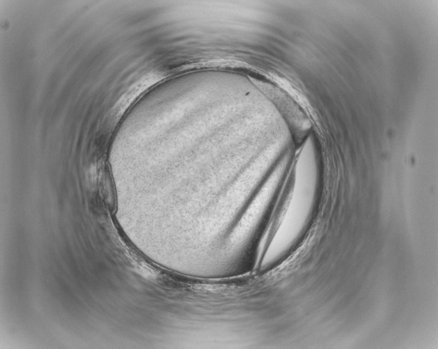 X0000086971281200705141642