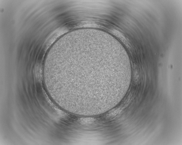 X0000086971282200705141642