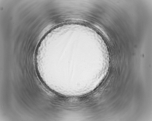 X0000086971283200705141641