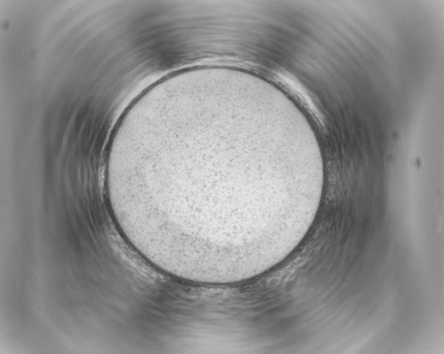 X0000086971284200705141641