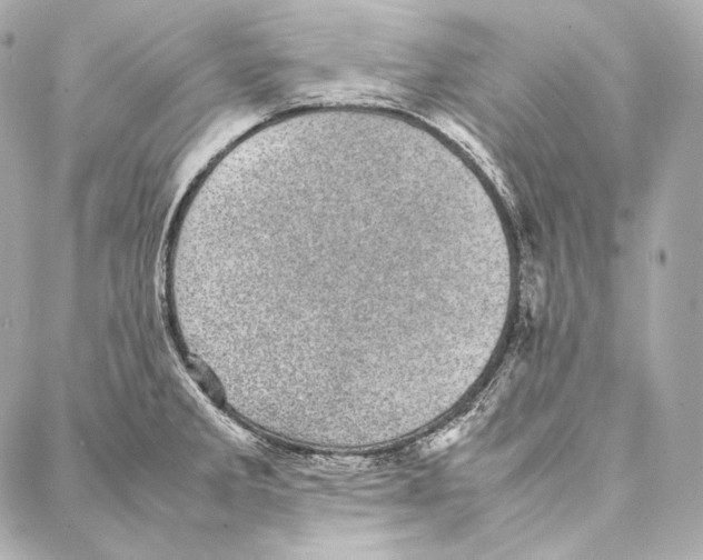 X0000086971285200705141641