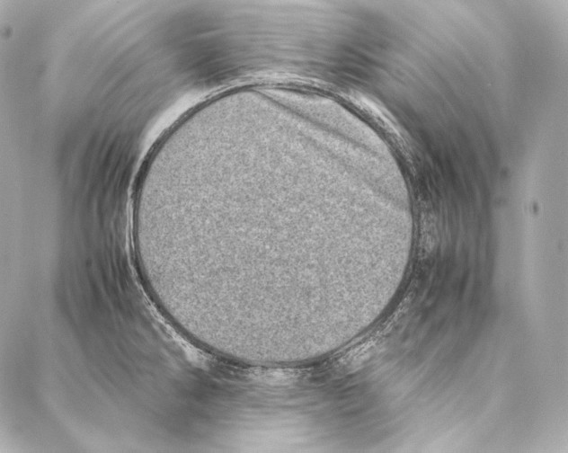 X0000086971286200705141641