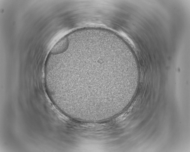 X0000086971287200705141641