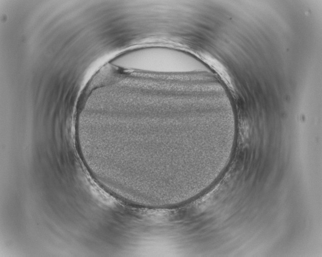 X0000086971288200705141641