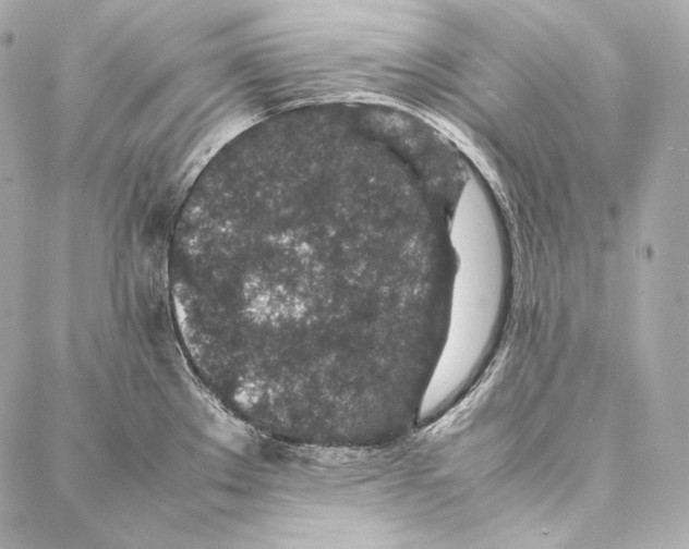 X0000086971289200705141641