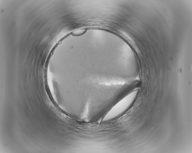 X0000086971291200705141641