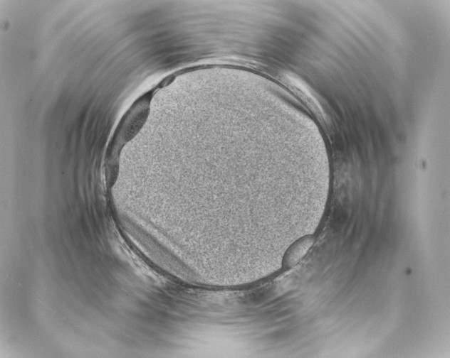 X0000086971292200705141641