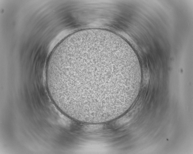 X0000086971294200705141641