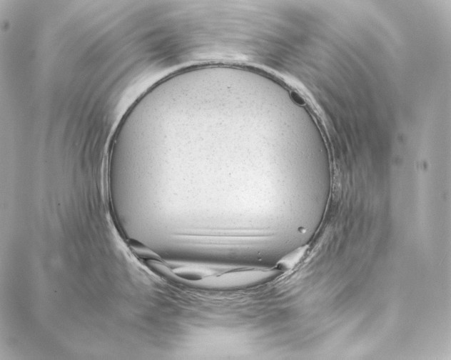 X0000086971295200705141641