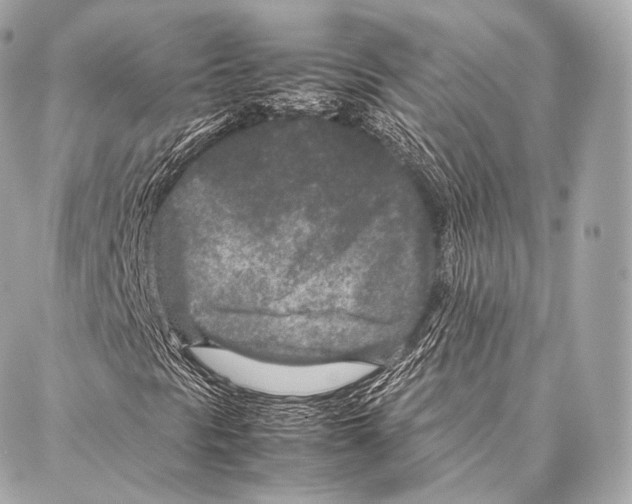 X0000086971297200705141640