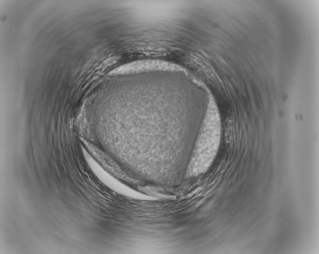 X0000086971298200705141641