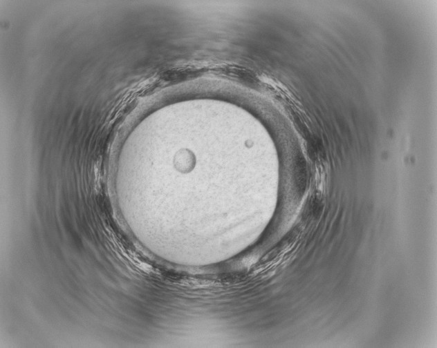 X0000086971300200705141641