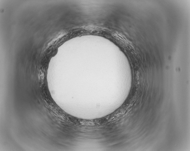 X0000086971302200705141641