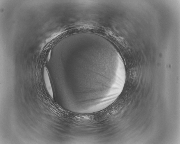 X0000086971303200705141641