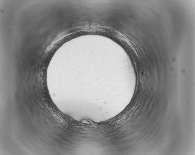 X0000086971304200705141641