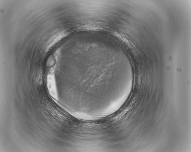 X0000086971306200705141641