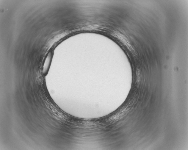 X0000086971308200705141641