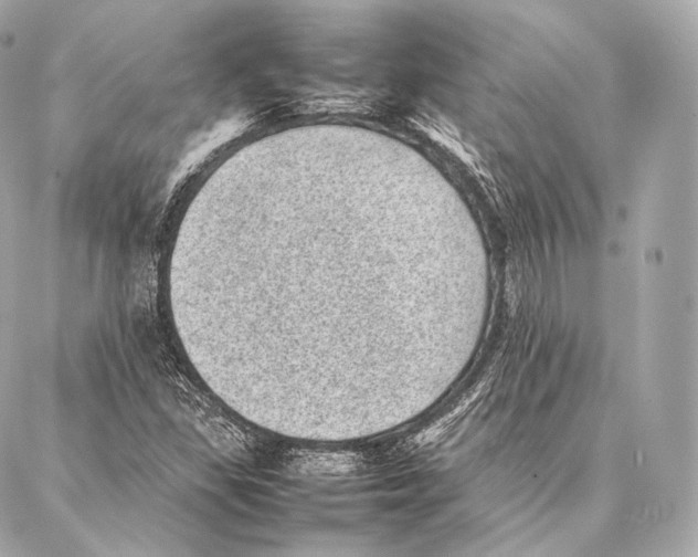 X0000086971309200705141641