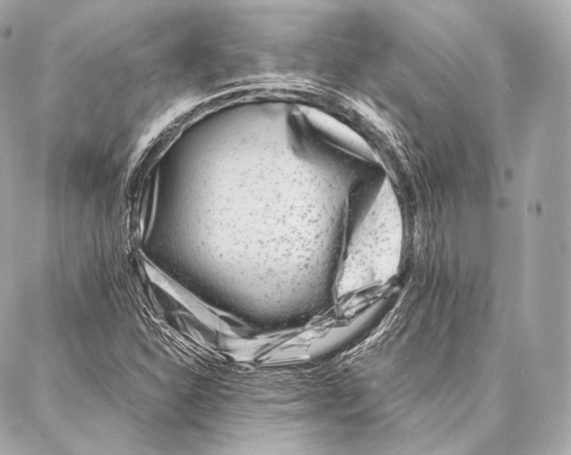 X0000086971310200705141641