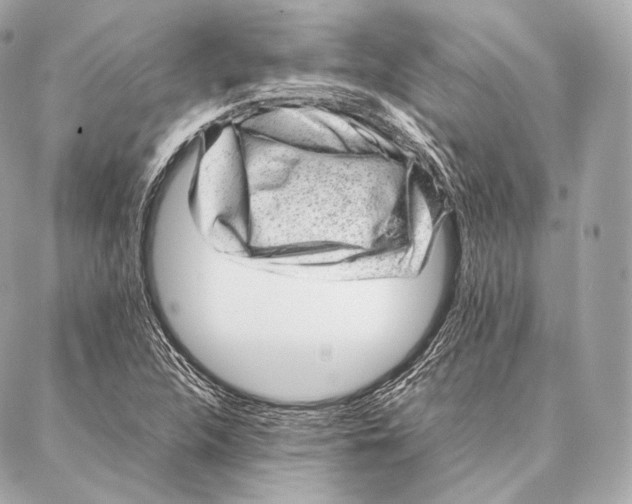 X0000086971312200705141641