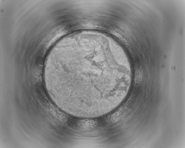 X0000086971314200705141641