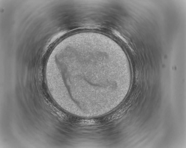 X0000086971315200705141641