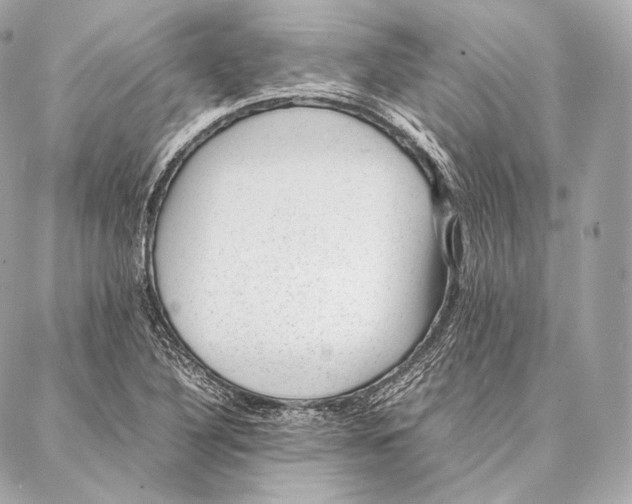 X0000086971316200705141641