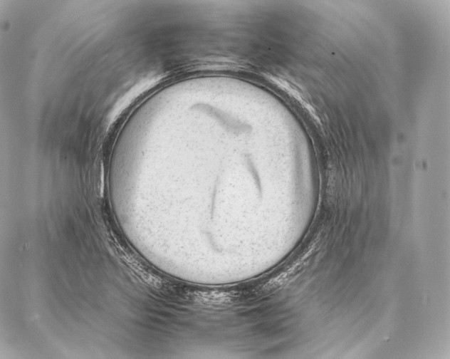 X0000086971317200705141641