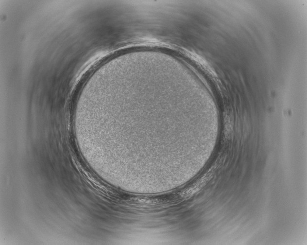 X0000086971318200705141641