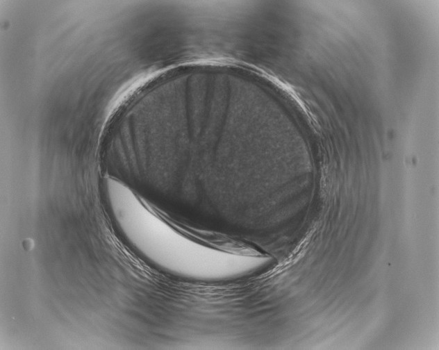 X0000086971319200705141641