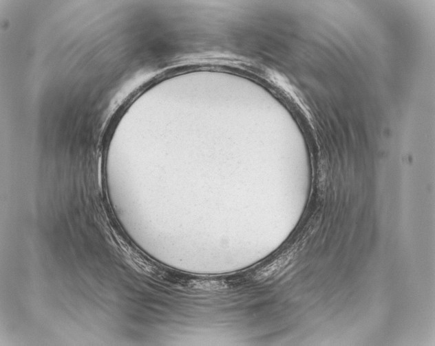 X0000086971320200705141641