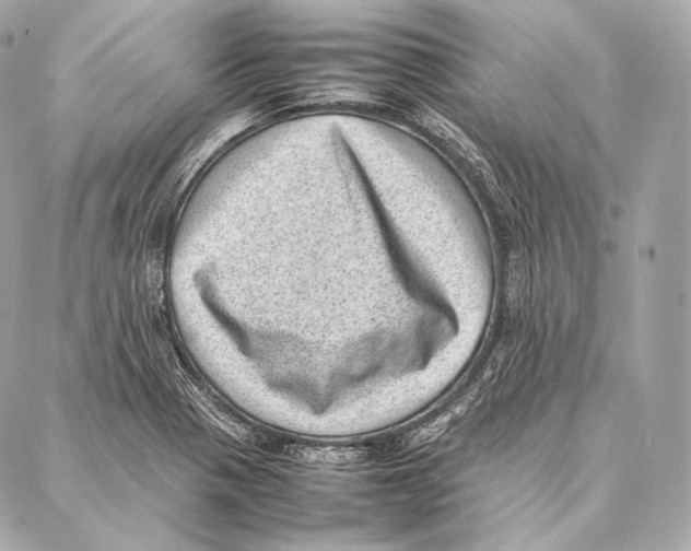 X0000086971321200705141641