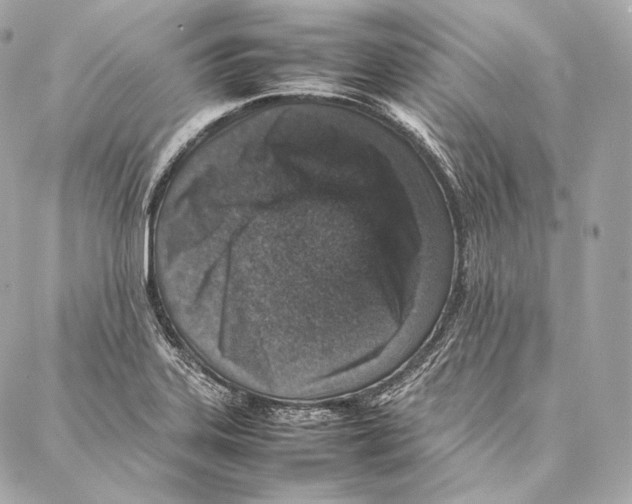 X0000086971323200705141641