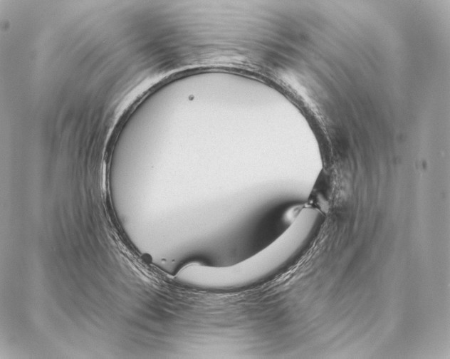 X0000086971324200705141641