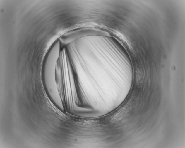 X0000086971326200705141641