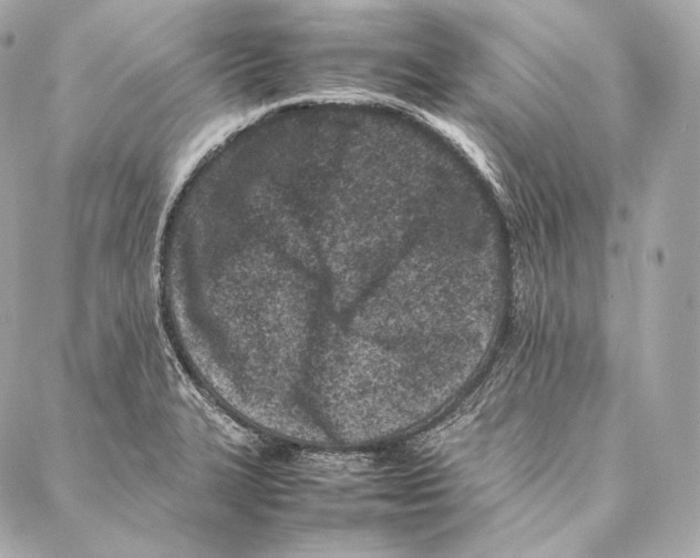 X0000086971327200705141641