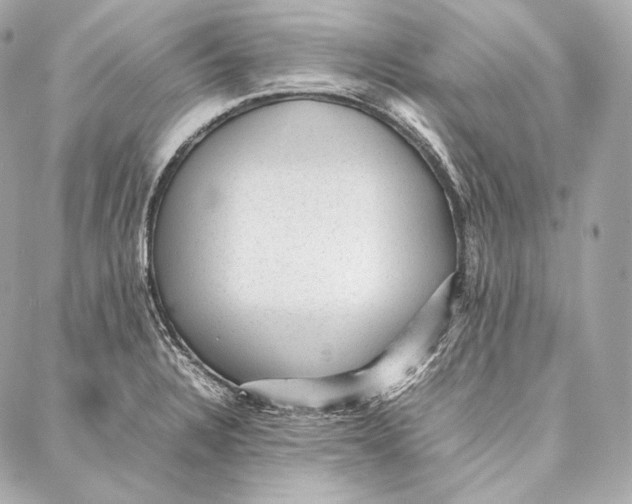 X0000086971328200705141641