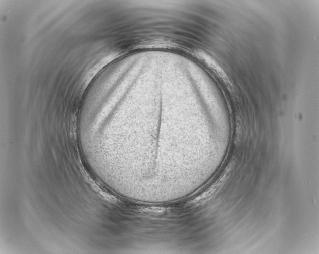 X0000086971329200705141641