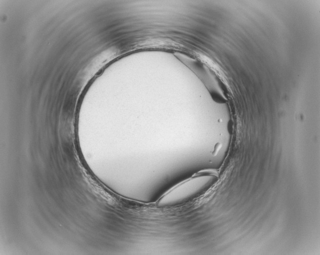 X0000086971330200705141641