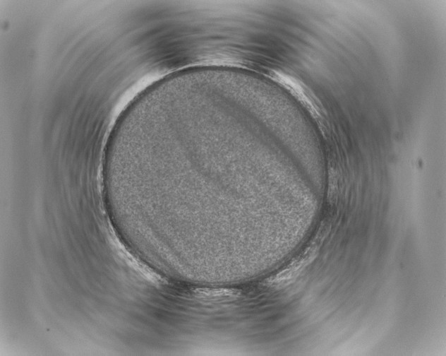 X0000086971331200705141641