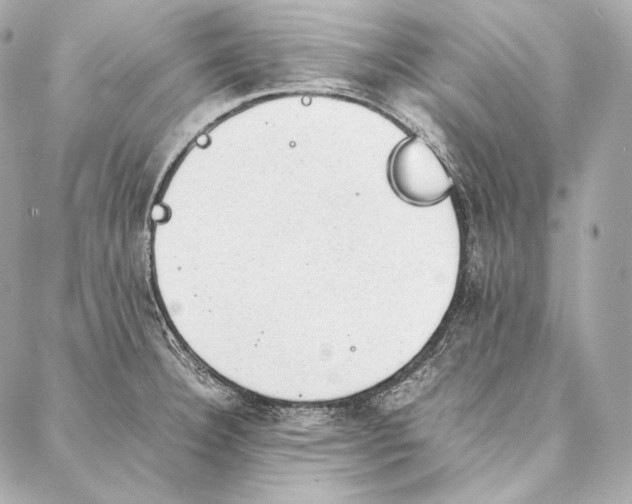 X0000086971332200705141641