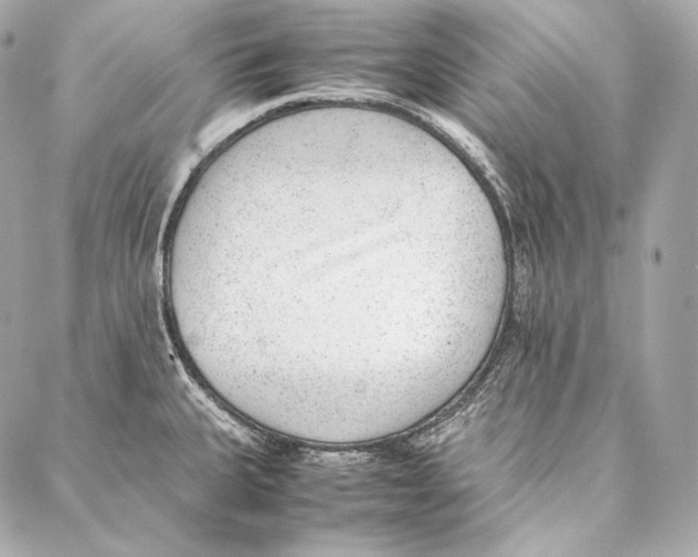 X0000086971335200705141641