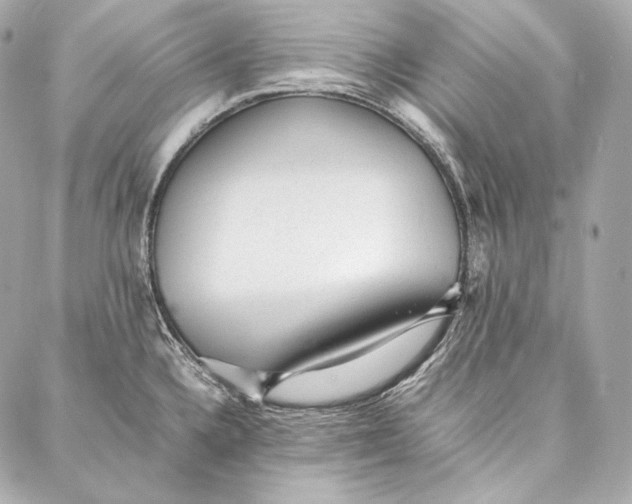 X0000086971336200705141641