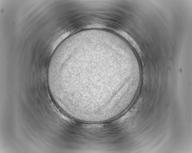 X0000086971337200705141641